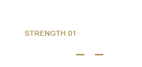 STRENGTH.01